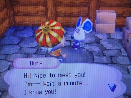 Animal Crossing Wild World Dora