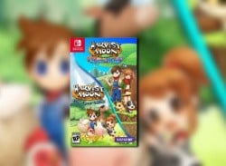 Harvest Moon's New "Cozy" Bundle Slightly Delayed For Switch