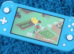 Does Nintendo Have A Handheld Future Beyond The Switch? Yes, Say The Experts