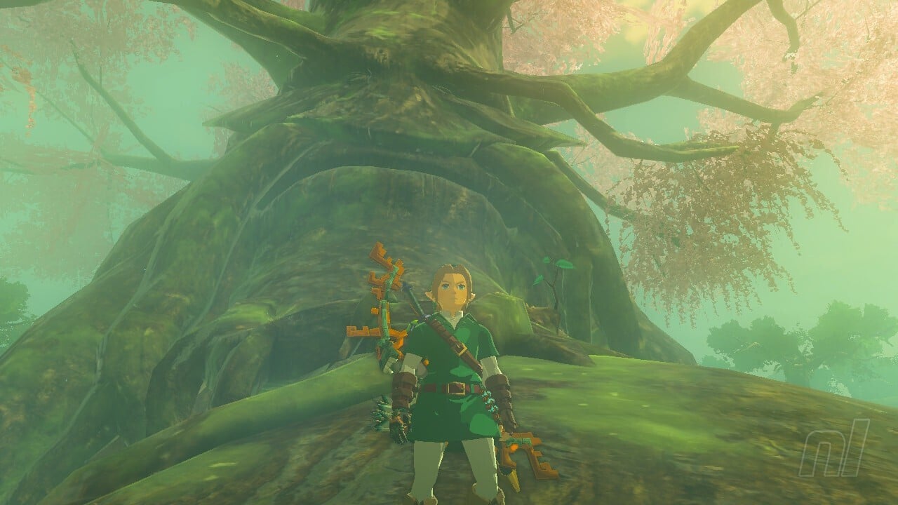 Zelda: Every Appearance Of The Lost Woods, Ranked