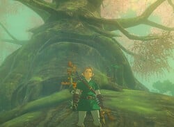 Zelda: Tears Of The Kingdom: How To Get To Korok Forest, Lost Woods