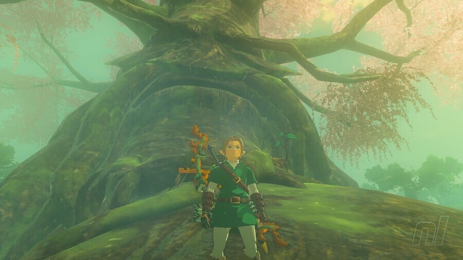 Zelda: Tears Of The Kingdom: How To Get To Korok Forest, Lost Woods 1