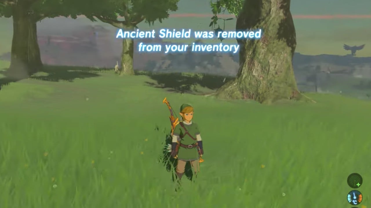 This Zelda: Breath Of The Wild Randomiser Moves Everything Around And Steal...