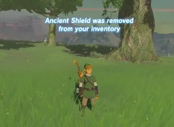 This Zelda: Breath Of The Wild Randomiser Moves Everything Around And Steals Your Items