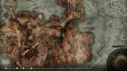 Elden Ring Tarnished Edition content