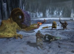 Monster Hunter 3 Ultimate's 3DS Online Multiplayer Workaround Is Coming to Europe