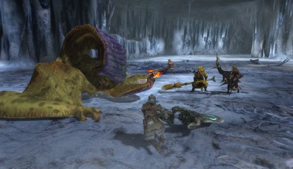 Monster Hunter 3 Ultimate's 3DS Online Multiplayer Workaround Is Coming to Europe