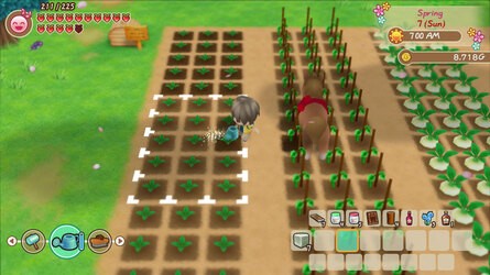 Story of Seasons Switch