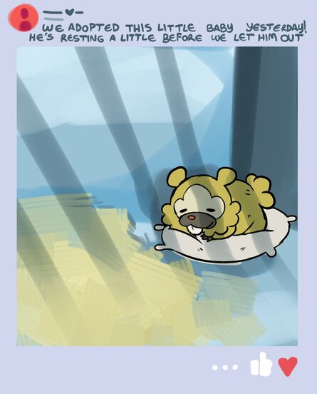 Pokémon IRL