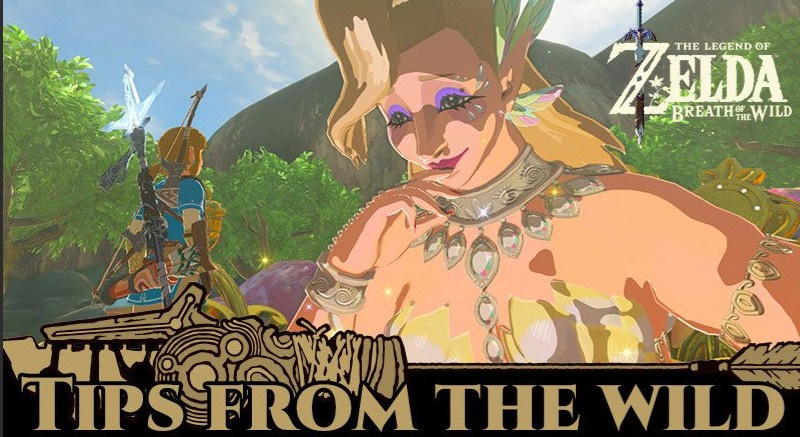 BoTW gift.jpg