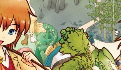 Harvest Moon 3D: The Tale of Two Towns (3DS)