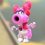 Birdo Pro Racer