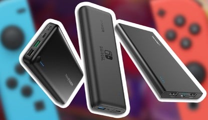 Best Switch Portable Chargers, Batteries And Power Banks