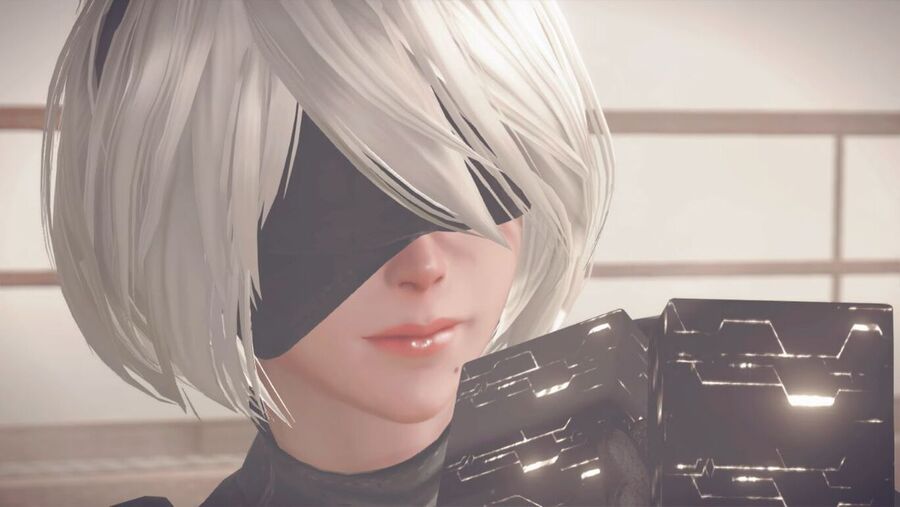 NieR