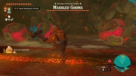 Zelda: Tears Of The Kingdom: How To Defeat Marbled Gohma 3