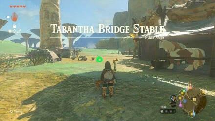 Zelda: Tears Of The Kingdom: How To Get To Rito Village 4