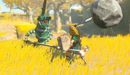 After 100% Completing Zelda: TOTK, Streamer Sets Out To Collect Every Rock