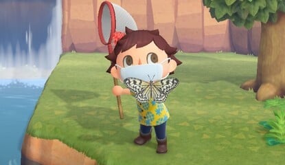 Animal Crossing: New Horizons: Bugs - Complete Bug List, Bug Tips, Times, Locations And Prices