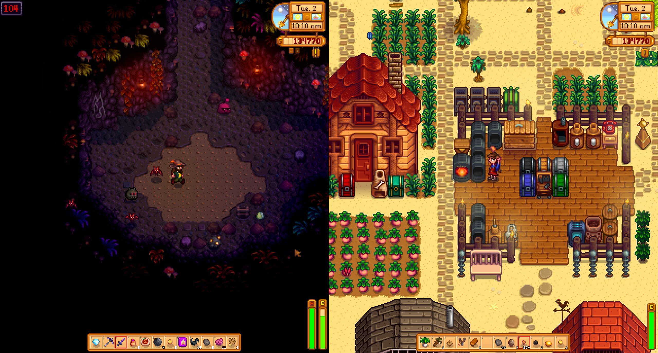 stardew valley e shop