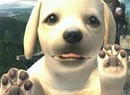 Nintendogs Nearly Went for a Wii in Your Living Room