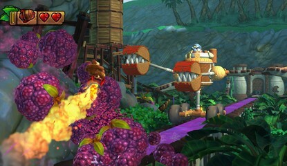 20th February (North America)