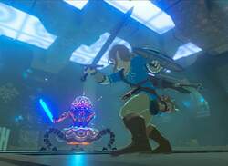 Zelda: Breath Of The Wild Player Beats All Shrines Without Runes