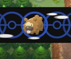 Random The New Trailer For Pokemon Diamond Pearl Confirms What We All Knew About Bidoof Nintendo Life