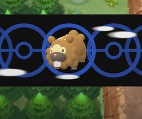 Bidoof used Cut