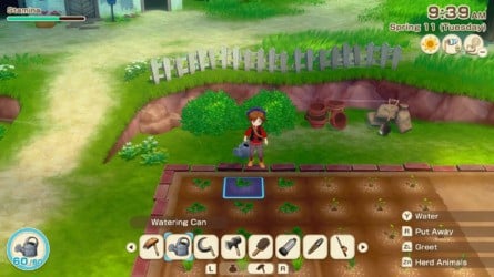 Story of Seasons: Grand Bazaar