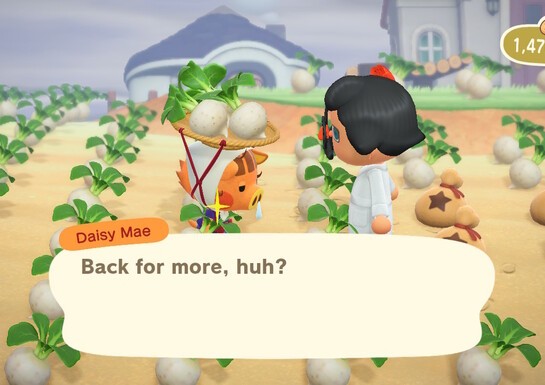 The Dark Secrets Of Animal Crossing: New Horizons' Stalk Market