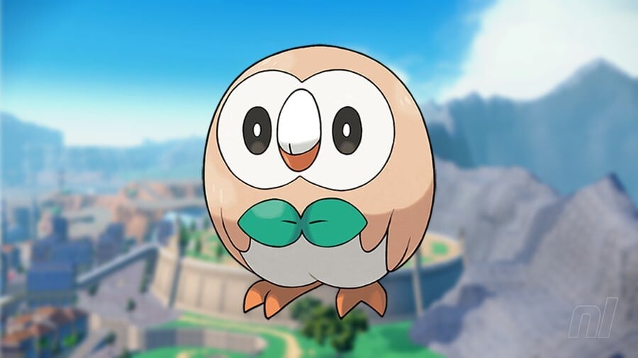 Superb Owl - Rowlett