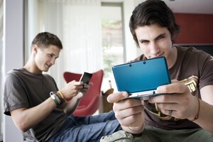 Typical 3DS gamers, apparently