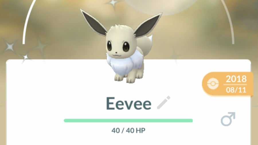 Pokémon GO Eevee Evolutions Ranked - How To Get Sylveon, Leafeon