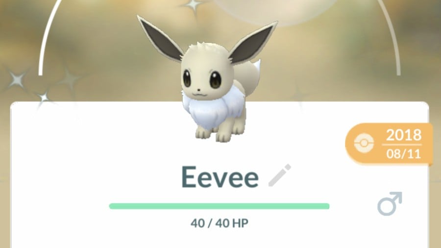 Pokemon Go Eevee Evolution, How to get all 8 Eevee evolutions