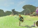 Nintendo Shares Gamers' Breath of the Wild #ZeldaMoments