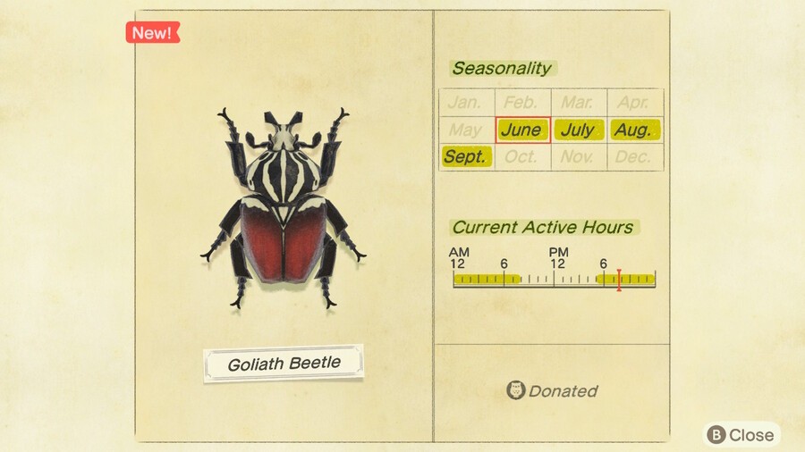 Animal Crossing New Horizons Beetles Where, When And How To Catch