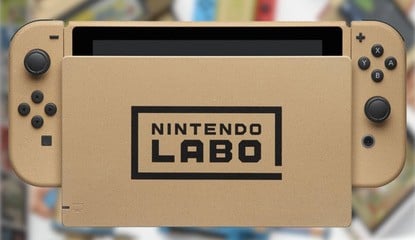 "Ultimate Console Database" Secures Ultra Rare Nintendo Labo Switch