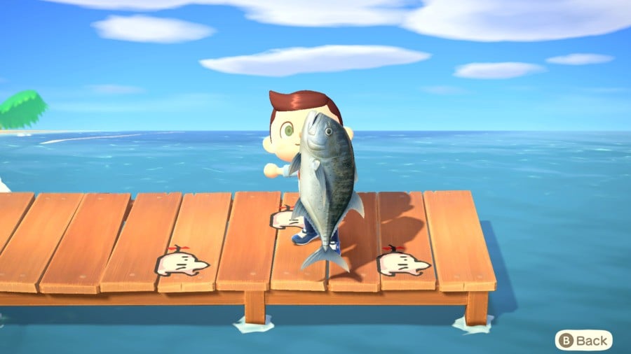 Animal Crossing: New Horizons: Giant Trevally - Where, When And How To