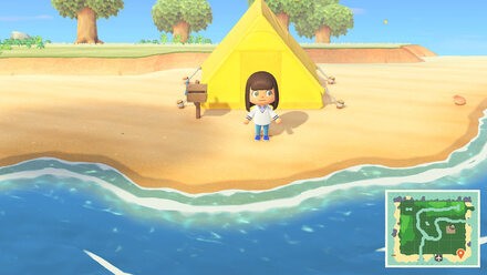 Animal Crossing New Horizons