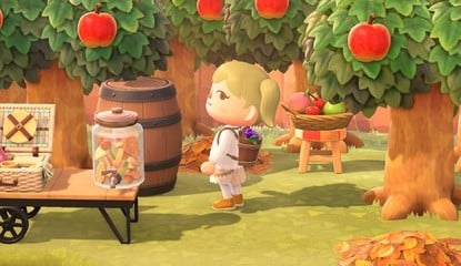 Animal Crossing: New Horizons: Fall DIY Recipe List - Acorn, Pine Cone, Mushroom And Maple Leaf Furniture