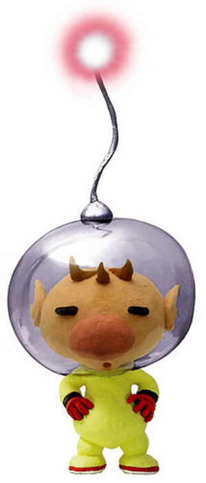 Make it a night to remember