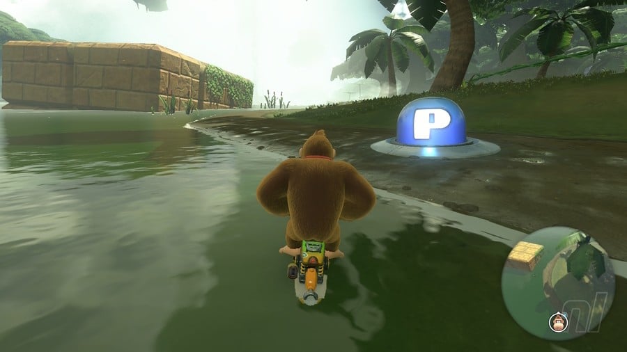 Jungle Safari Switch 10