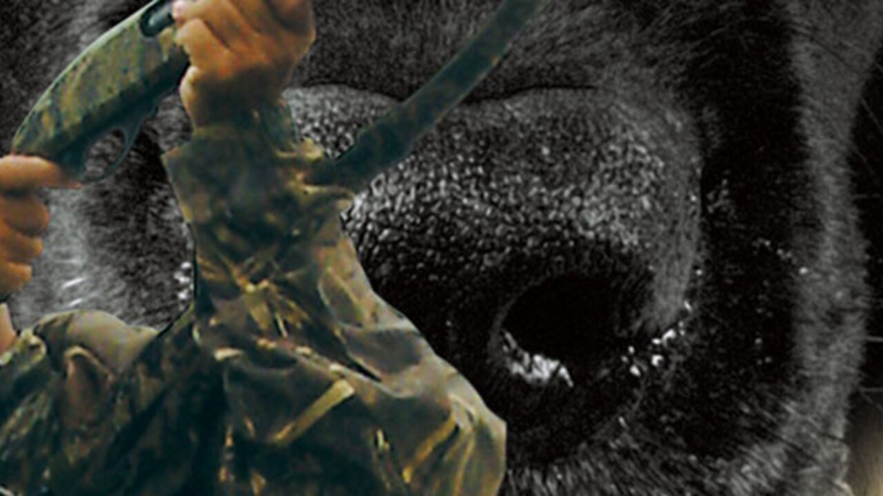 Ultimate Duck Hunting (2007) Wii Game Nintendo Life