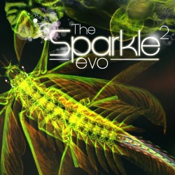 Sparkle 2 EVO Cover