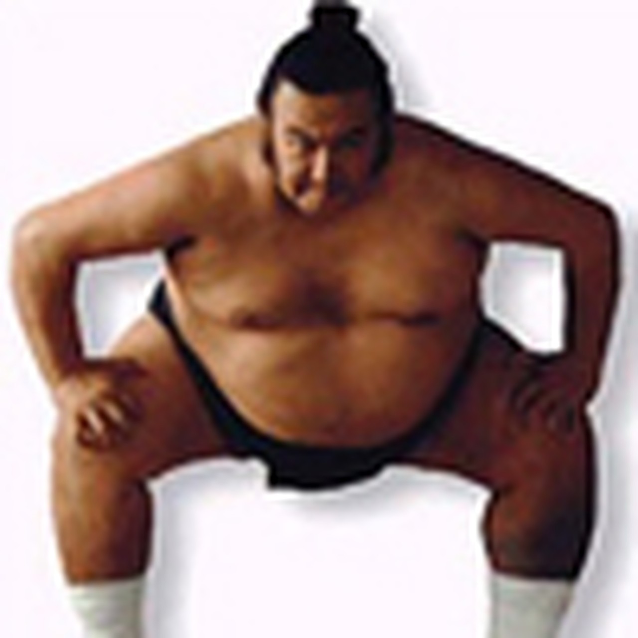 Sumo