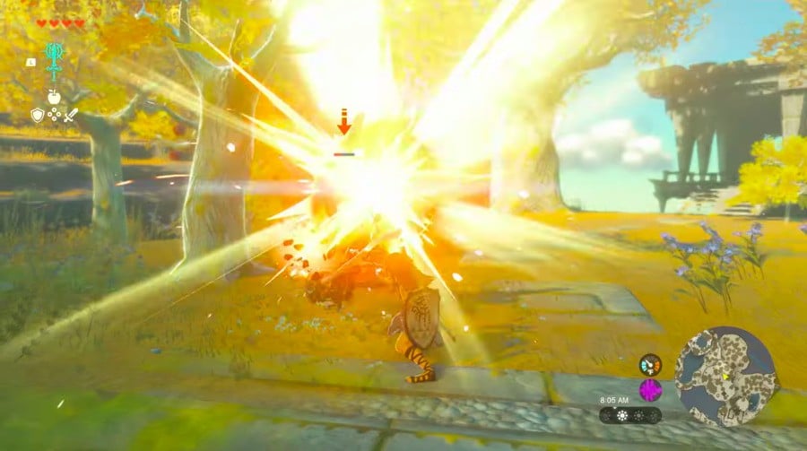 Zelda: Tears of the Kingdom Weapon