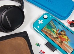 10 Of The Best Switch Lite Accessories You Can Get Your Hands On