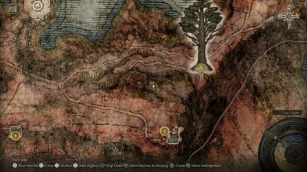 Elden Ring Tarnished Edition content