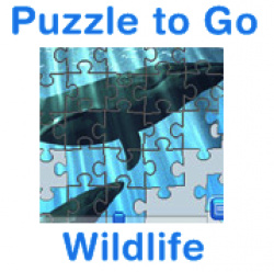 Puzzle to Go Wildlife Cover