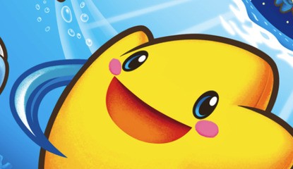 The Legendary Starfy (DS)